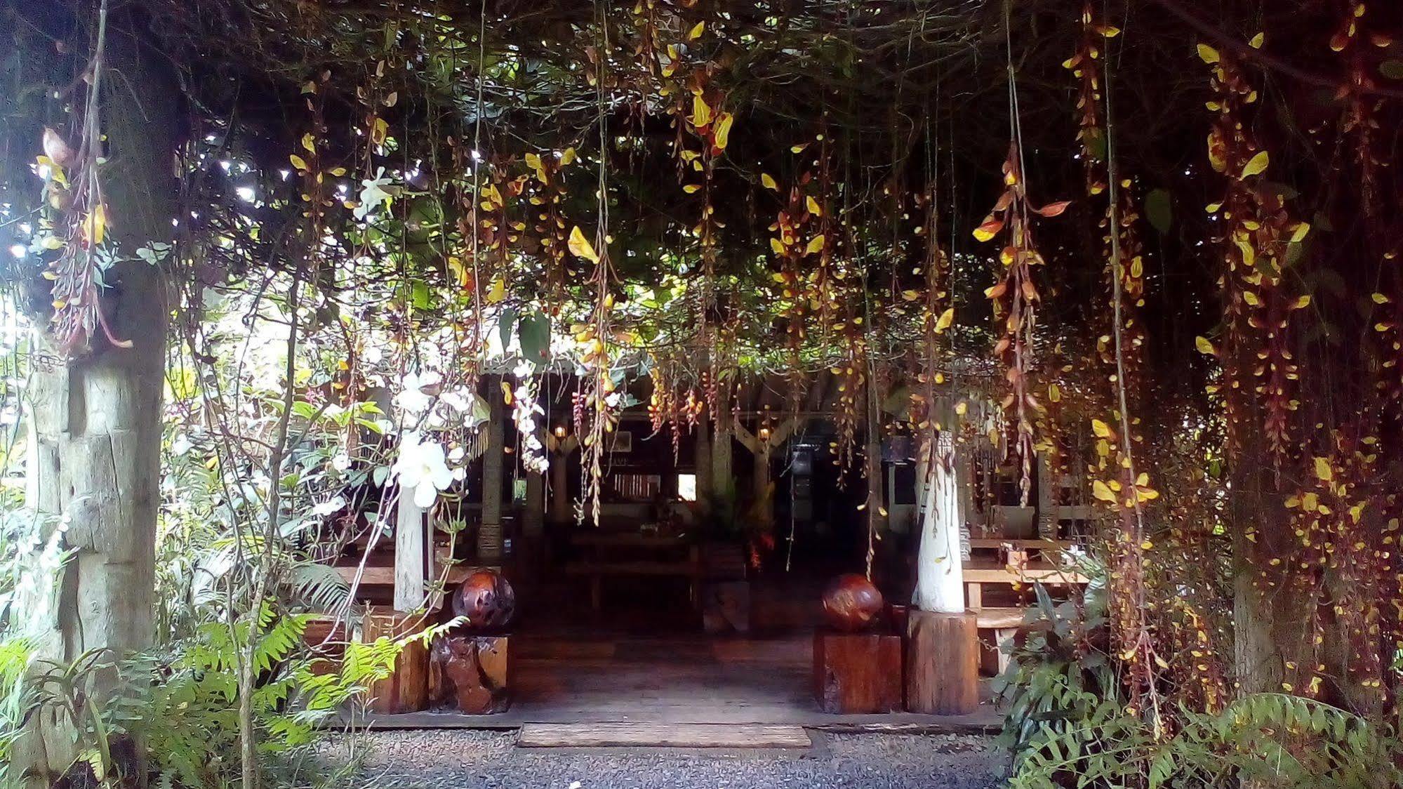 Warung Rekreasi Bedugul Hotel Zewnętrze zdjęcie