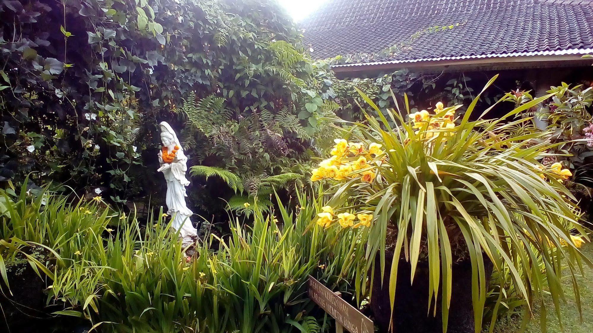 Warung Rekreasi Bedugul Hotel Zewnętrze zdjęcie